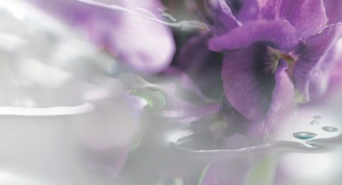 EAU DE CARTIER Woda toaletowa Cartier 100 ml ORYGINAŁ