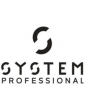 System Professional